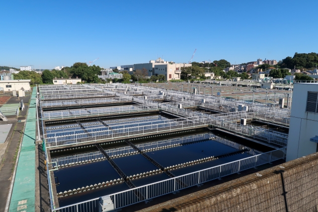 �r���̐�������